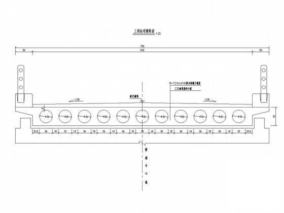 钢筋砼现浇空心板桥图纸 - 2
