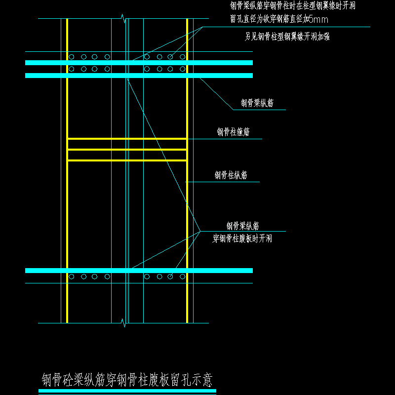 钢骨混凝土梁纵筋穿钢骨柱腹板留孔示意节点构造CAD详图纸 - 1