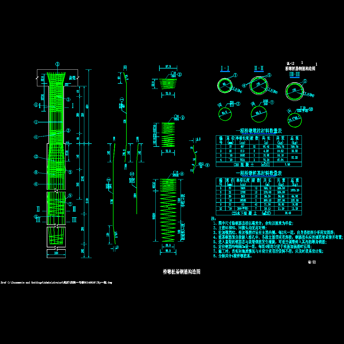 ql-12 (2) 桥墩桩基钢筋构造图.dwg